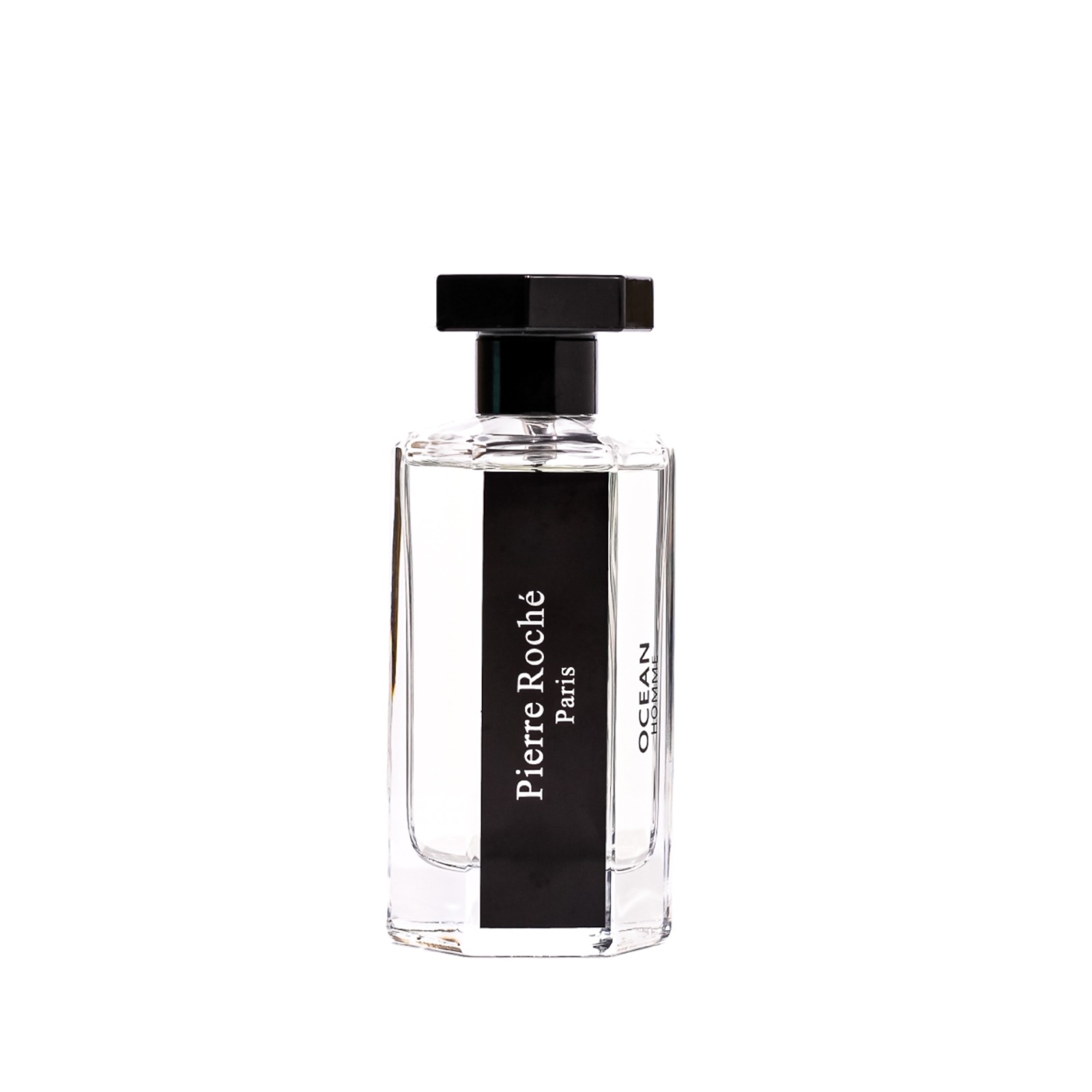 Ocean Homme Pierre Roche Eau De Parfum 100ml           