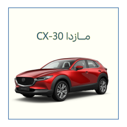 CX 30