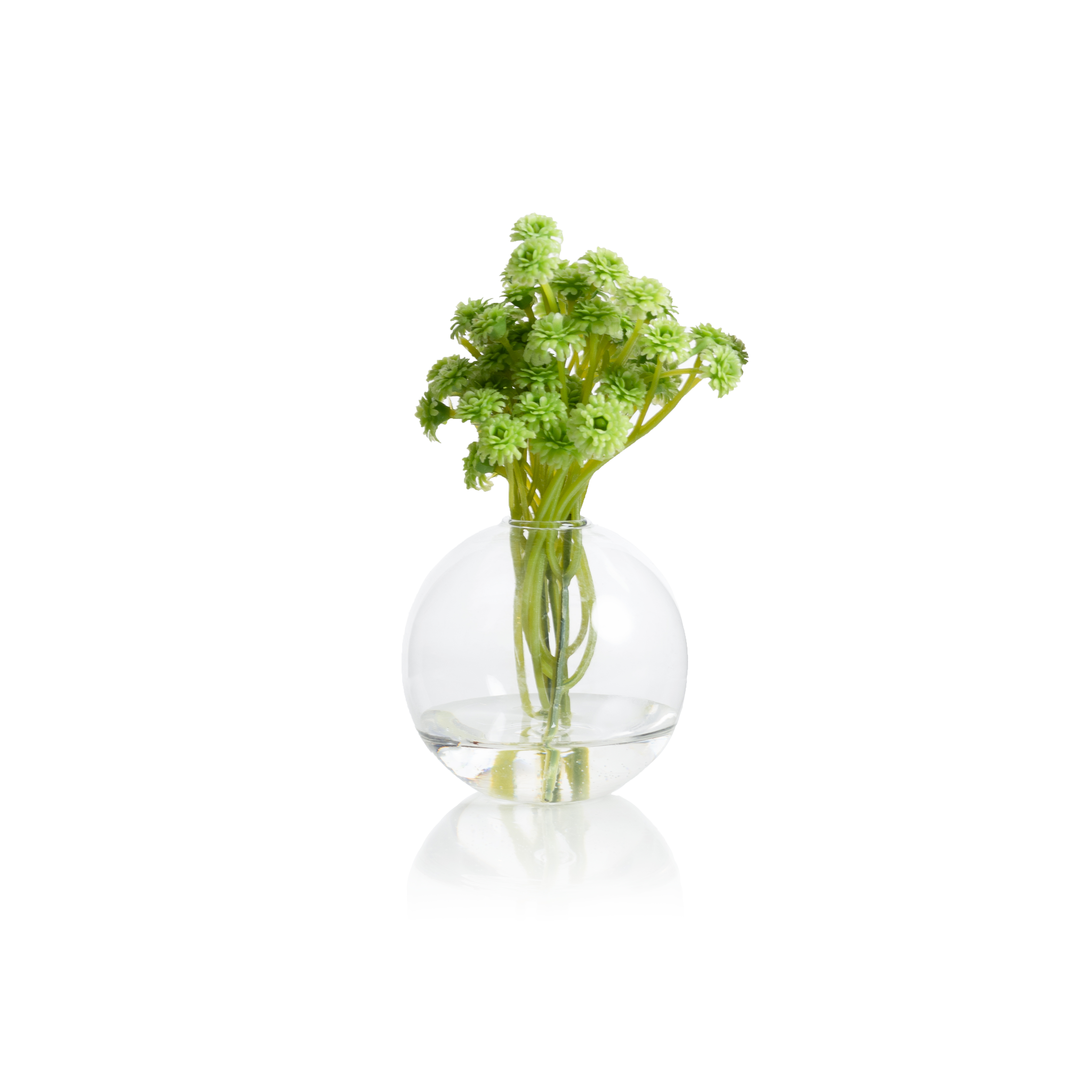   MINI CLEAR GLASS VASE BY DAREE HOME  