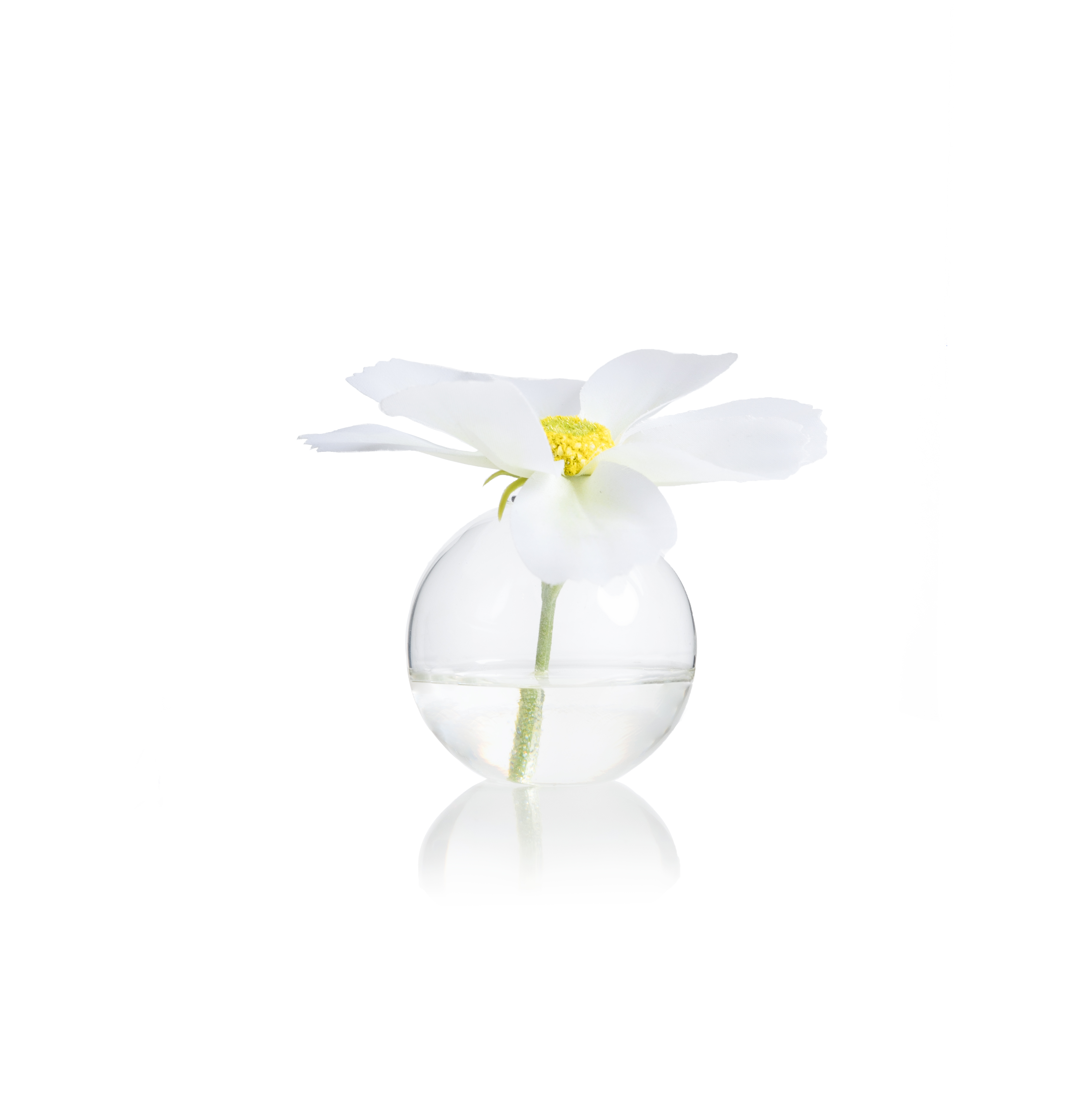   MINI CLEAR GLASS VASE BY DAREE HOME  