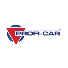 بروفي كار - PROFI-CAR OIL