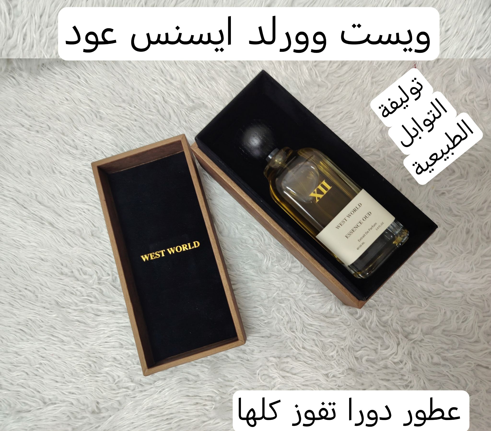 طالب