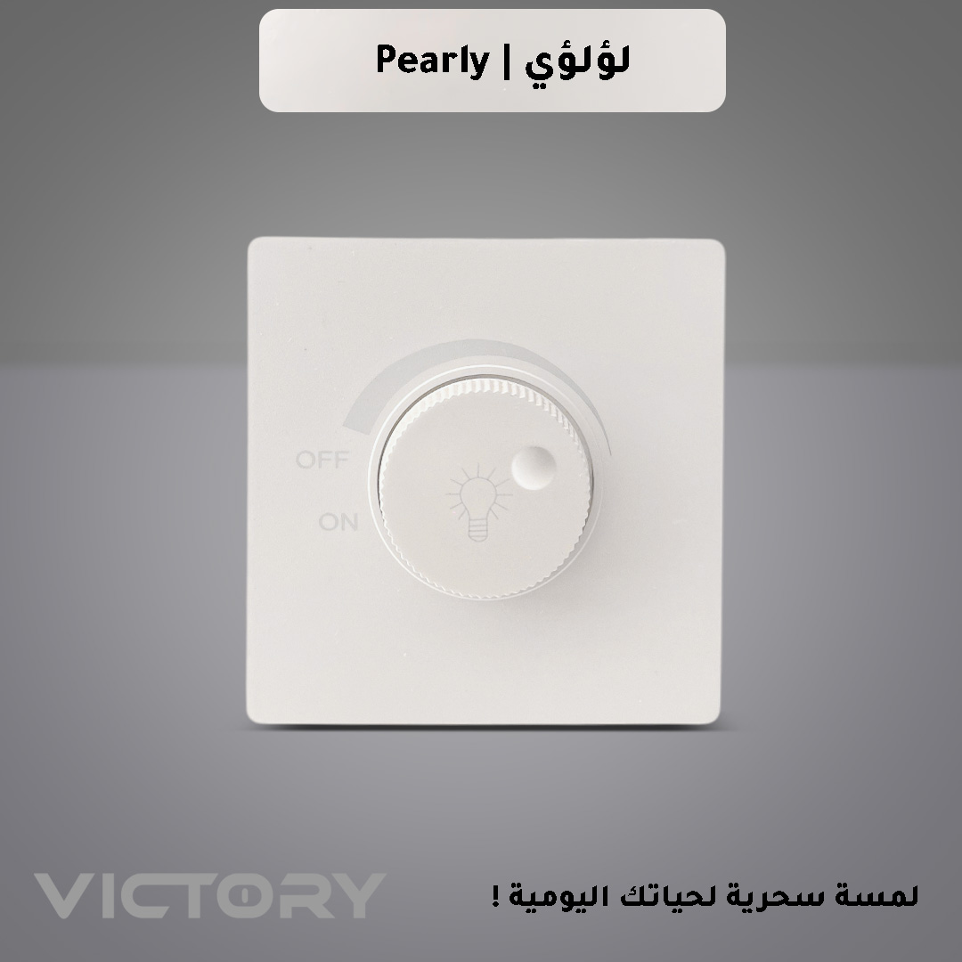  دايمر 1000 واط 