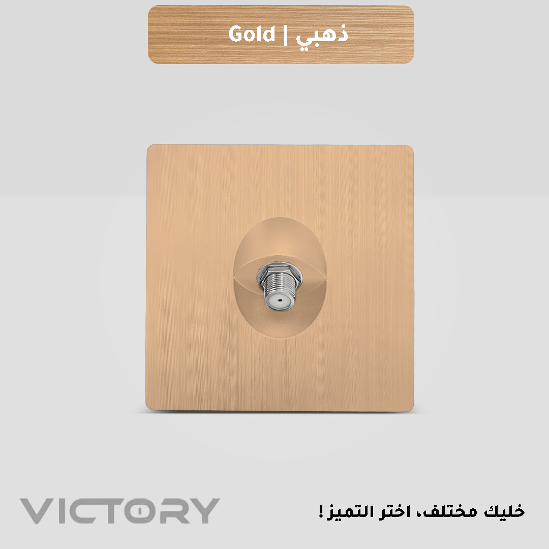  فيش دش ذهبي 