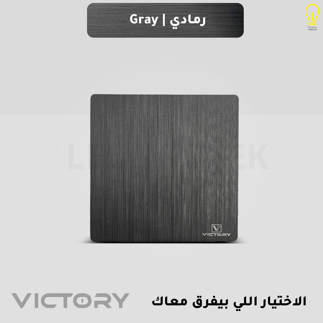  تسكيرة فيش باللون الرمادي 