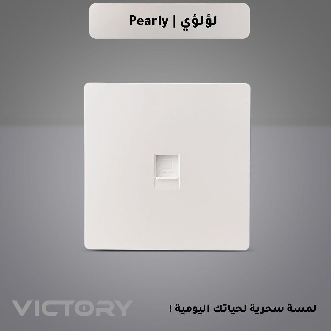  مدخل انترنت 