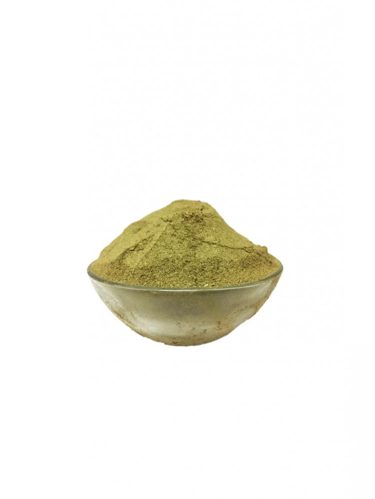 عشبة الزاز