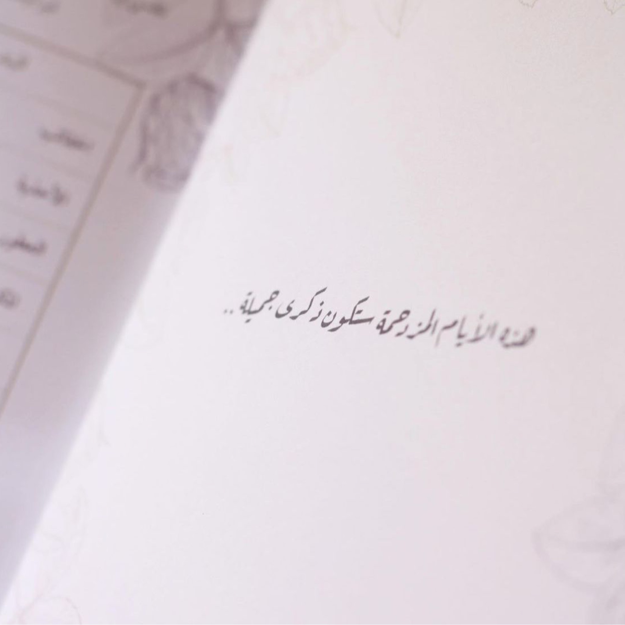 مغكرة العروس - متجر ميرام