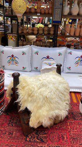 شداد مع جاعد