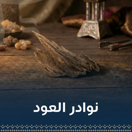 نوادر العود