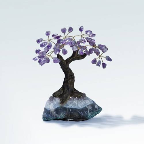 شجرة متعددة الاحجار (DELICATE)
