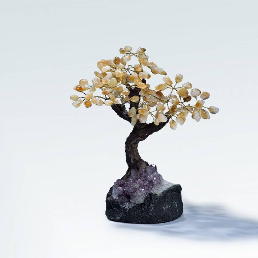 شجرة متعددة الاحجار (HONEY TREE)