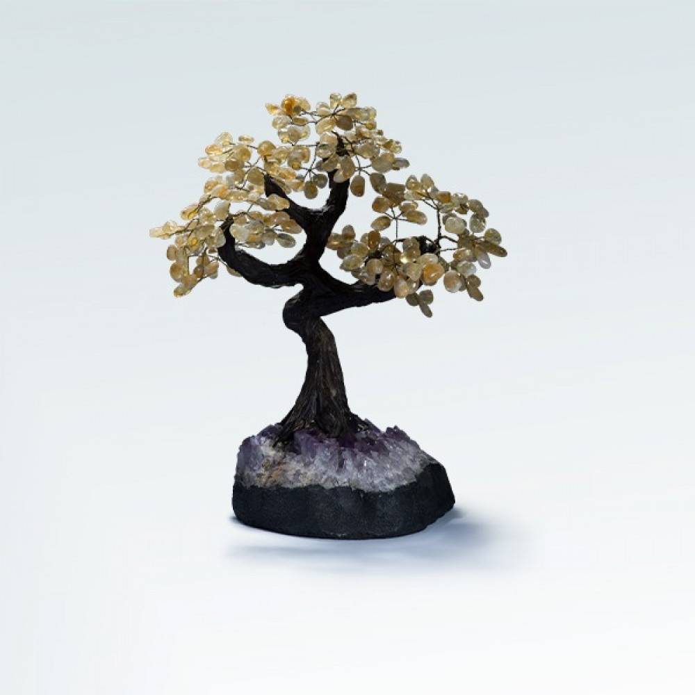 شجرة متعدد الاحجار (RAFIKI'S TREE)