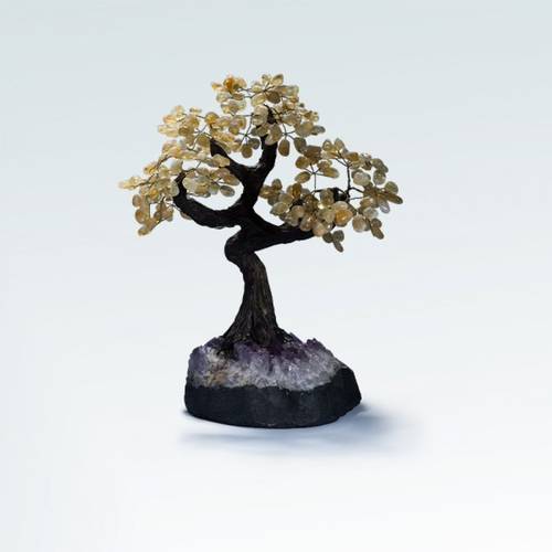شجرة متعدد الاحجار (RAFIKI'S TREE)