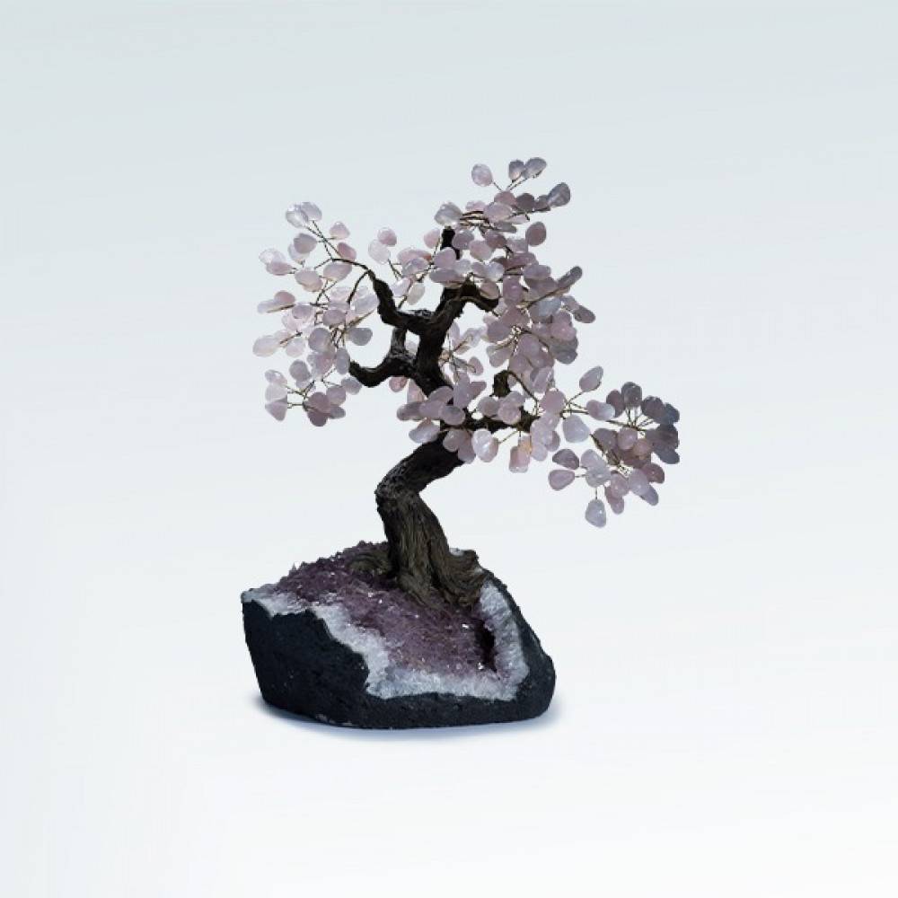 شجرة متعددة الاحجار (ONCE UPON A TREE)