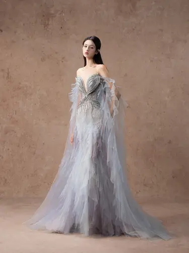 Butterfly of Silver Dress  فستان 