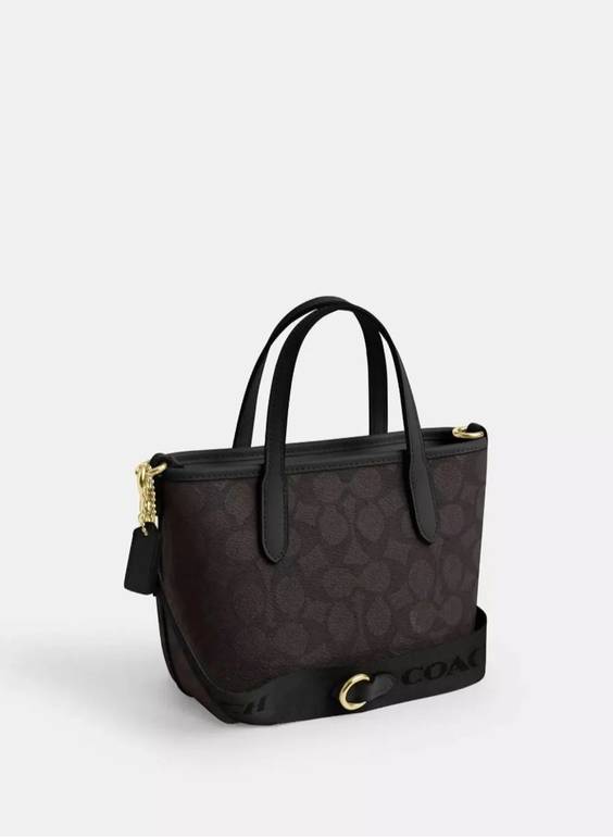 COACH Mini Signature Tote Bag – Brown