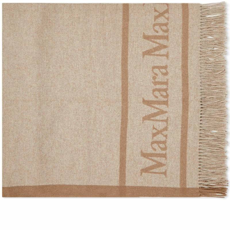 MaxMara سكارف بيج