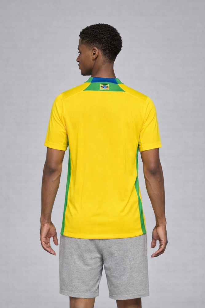 Brazil National Team 2026