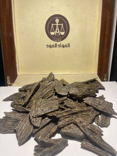 عود كلمنتان محسن 107