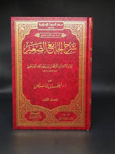 شرح الجامع الصغير 