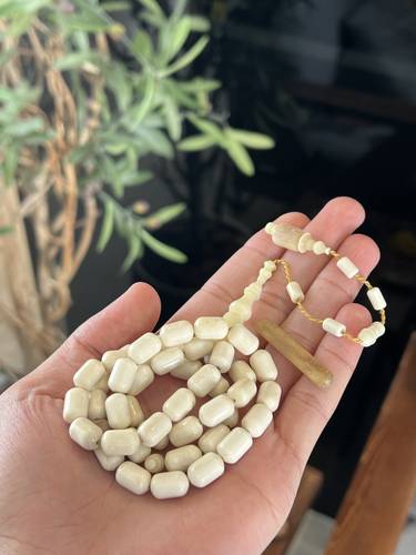 عظم نعامه ( برميلي )
