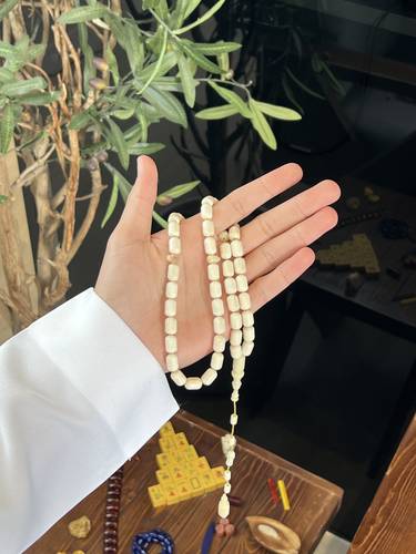 عظم نعامه ( برميلي )