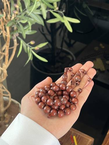 خشب الدم الاحمر ١٢ ملي