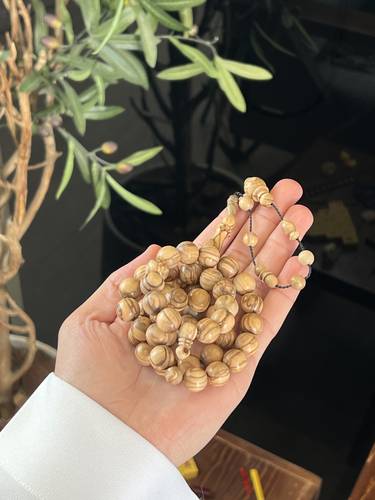 خشب زيتون ١٢ ملي