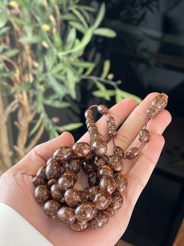 دارسيني فوّاح ( بيضاوي كبير )