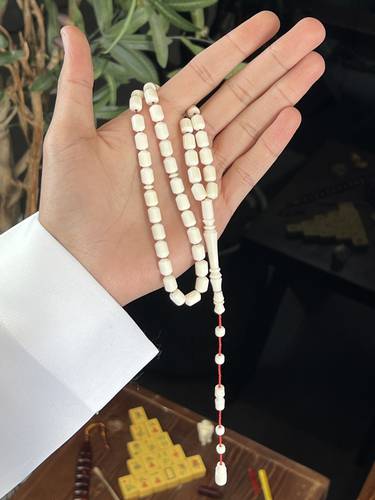 عظم جمل