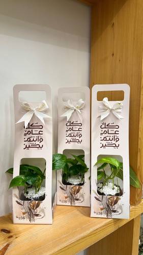 هولدر العيد مع نبتة البوتس