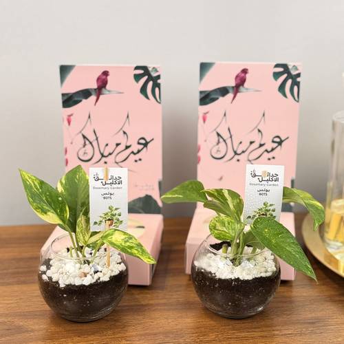 عيدية الحياة🌱
