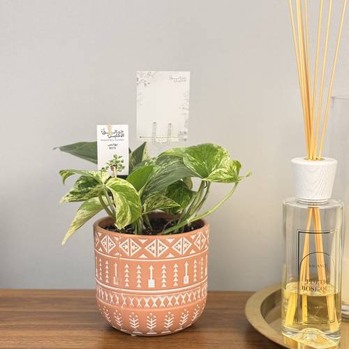 بوتس ماربل بطراز سلماني 🌿