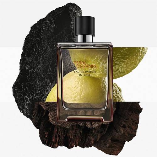 عطر هيرمس تيري دي هيرمس او دو بارفيوم انتنس 100مل