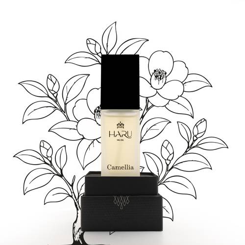 Camellia musk