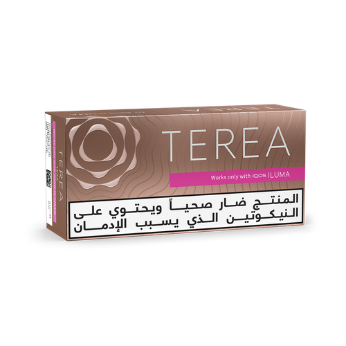 تيرا هيتس تيك (١٠ عبوات)