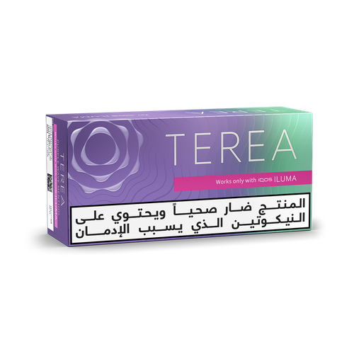 تيرا هيتس بيربل ويف منثول (١٠ عبوات)