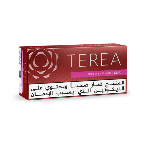 تيرا هيتس سيينا (١٠ عبوات)