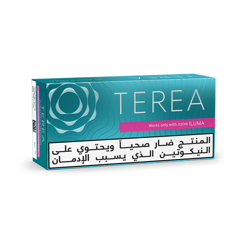 تيرا هيتس تركواز منثول (١٠ عبوات)