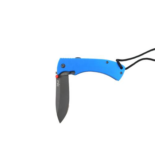 CM2 BLUE 