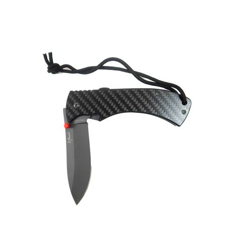 CM2 CARBON 