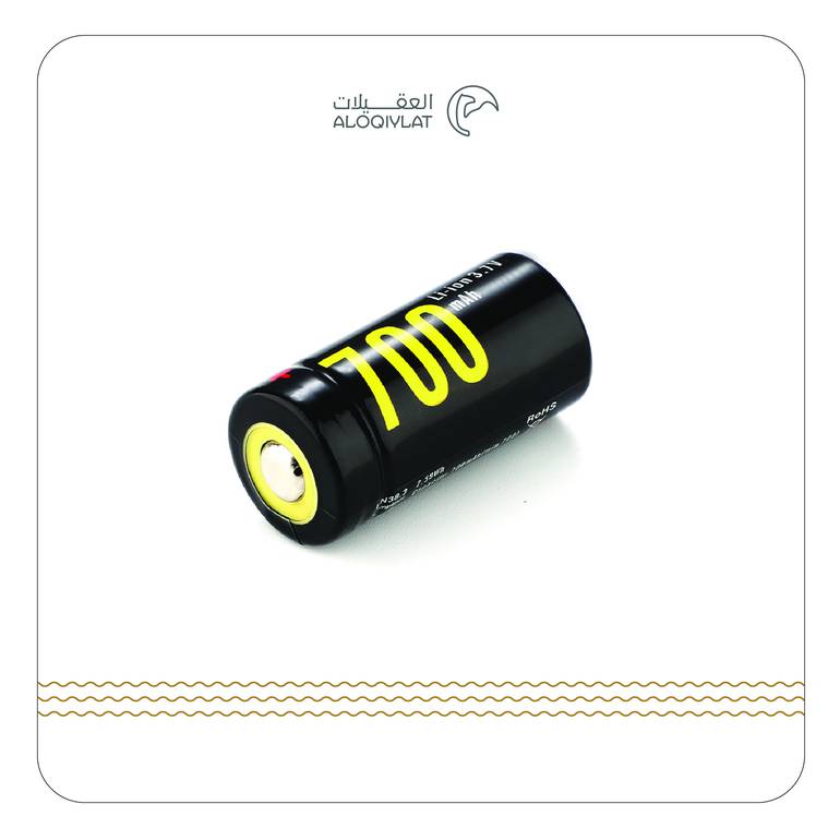 2× بطاريات ليثيوم 700 mAh قابل لإعادة الشحن CR123