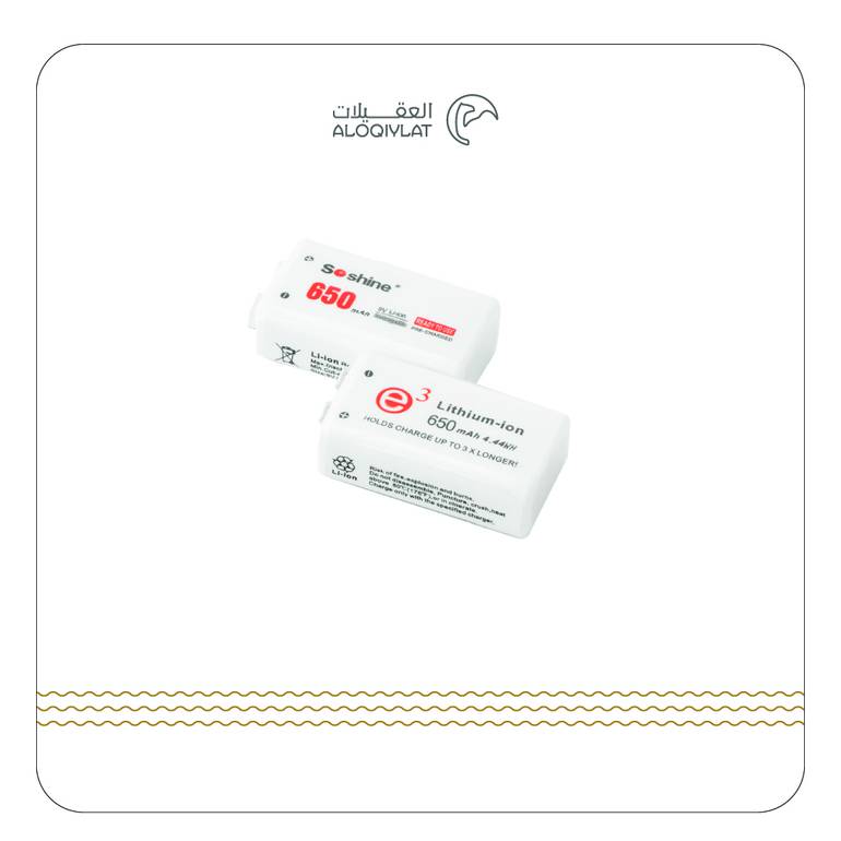 2× بطاريات ليثيوم 650 mAh قابل لإعادة الشحن 9V