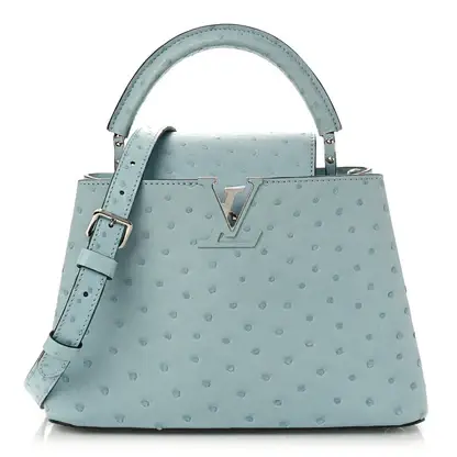 Ostrich baby blue LV