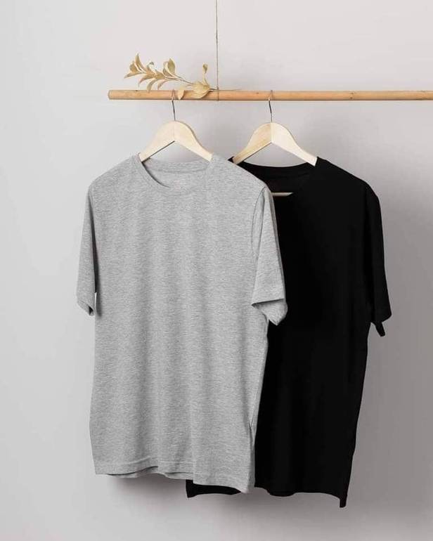 T shirt - Grey Ho Holland