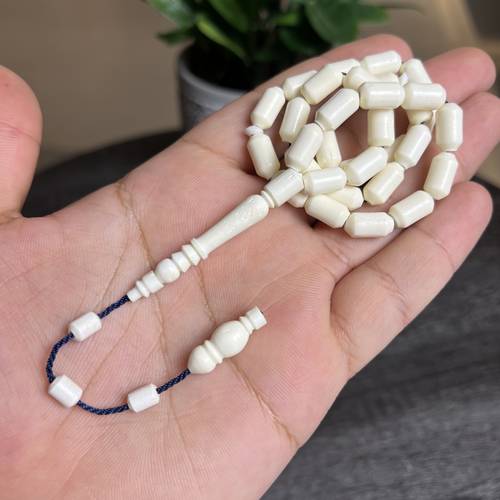 عظم جمل طبيعي