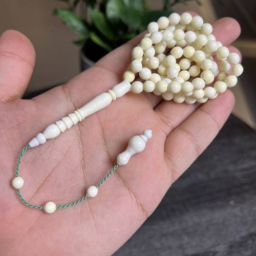 عظم جمل طبيعي