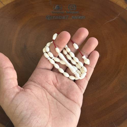 عظم ( نواعم ) تمليكة