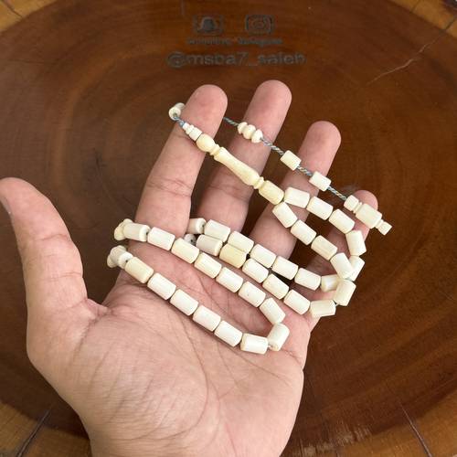 عظم جمل برميلي تمليكة
